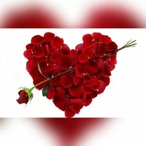 Meet your Posher, Rohia